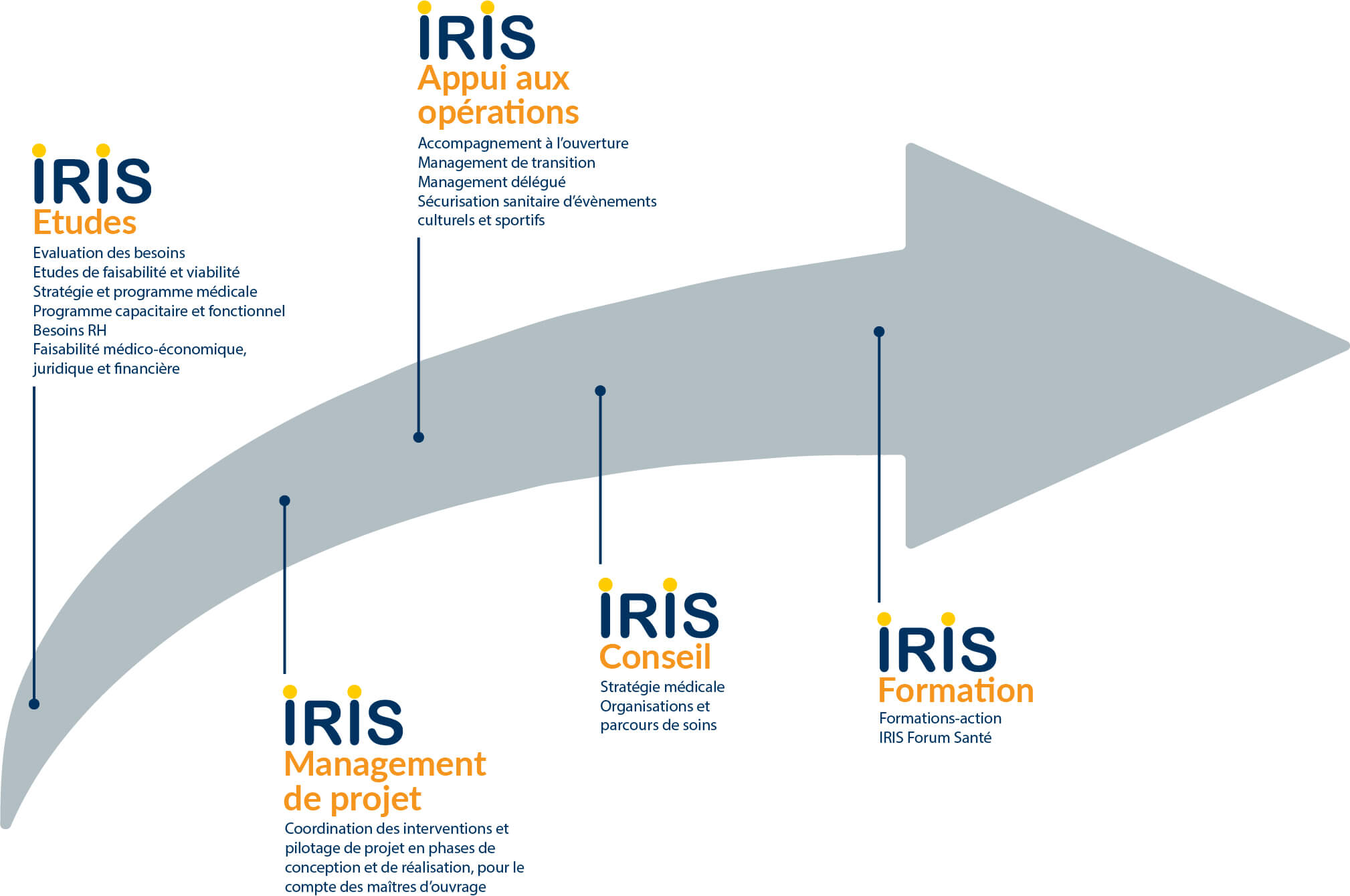 Prestations réalisées par IRIS Conseil Santé